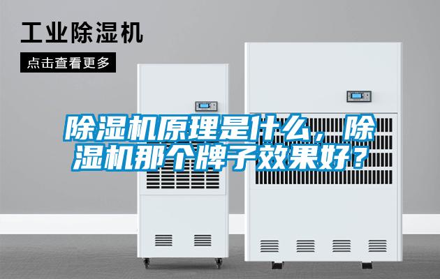 除濕機(jī)原理是什么,除濕機(jī)那個牌子效果好?