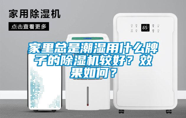 家里總是潮濕用什么牌子的除濕機較好？效果如何？