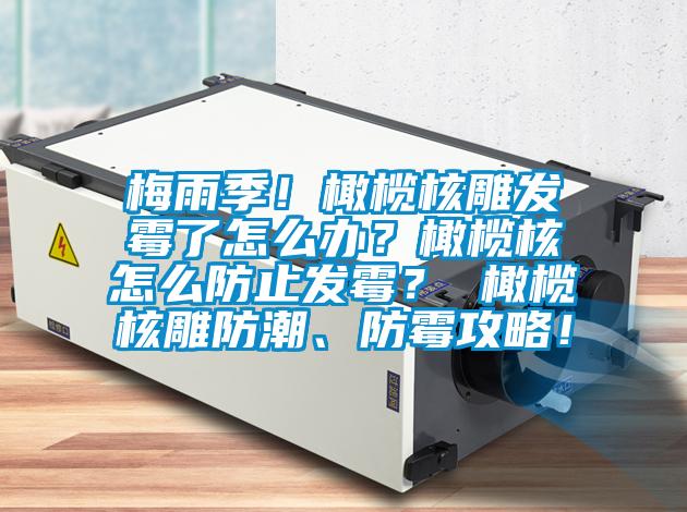 梅雨季！橄欖核雕發霉了怎么辦？橄欖核怎么防止發霉？ 橄欖核雕防潮、防霉攻略！