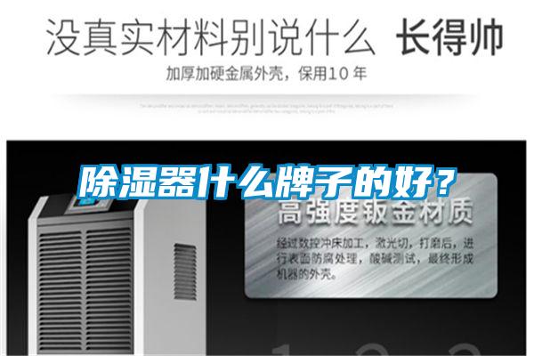 除濕器什么牌子的好?