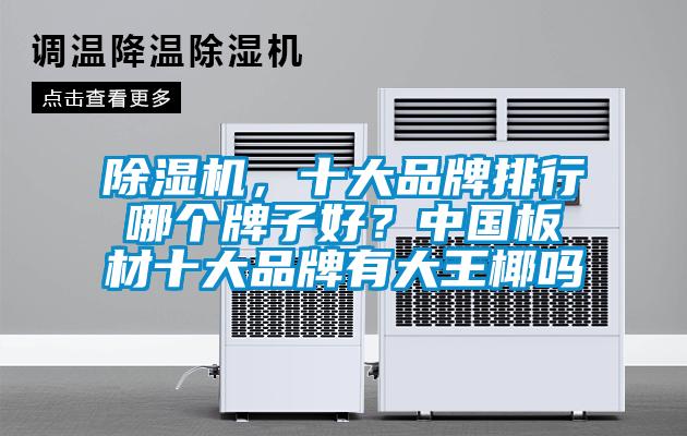 除濕機，十大品牌排行哪個牌子好？中國板材十大品牌有大王椰嗎