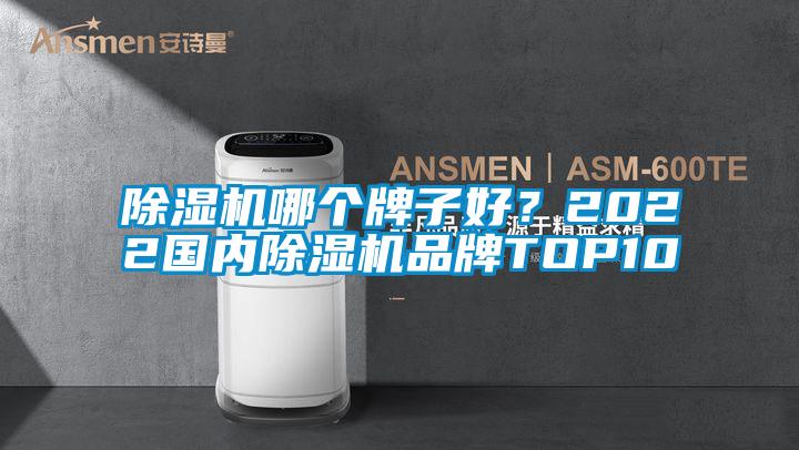 除濕機哪個牌子好？2022國內除濕機品牌TOP10