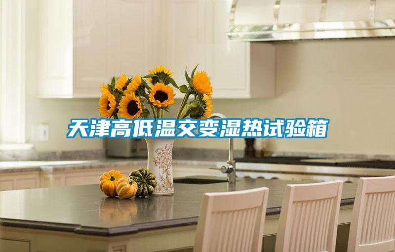 天津高低溫交變濕熱試驗箱