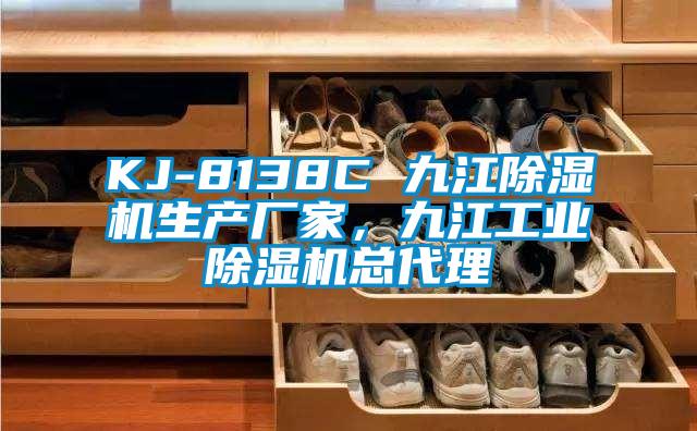 KJ-8138C 九江除濕機生產廠家，九江工業除濕機總代理