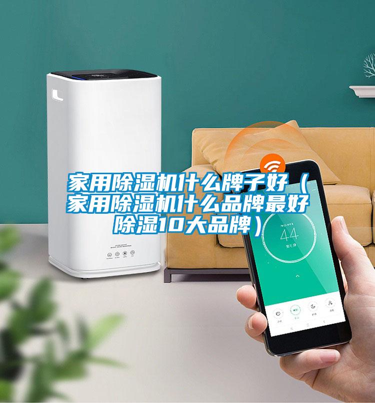 家用除濕機(jī)什么牌子好(家用除濕機(jī)什么品牌最好除濕10大品牌)