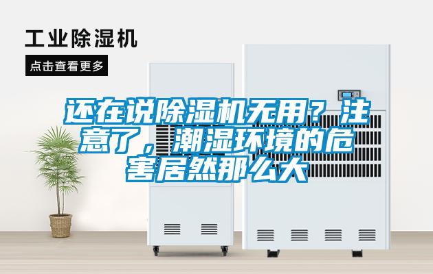 還在說除濕機(jī)無用？注意了，潮濕環(huán)境的危害居然那么大