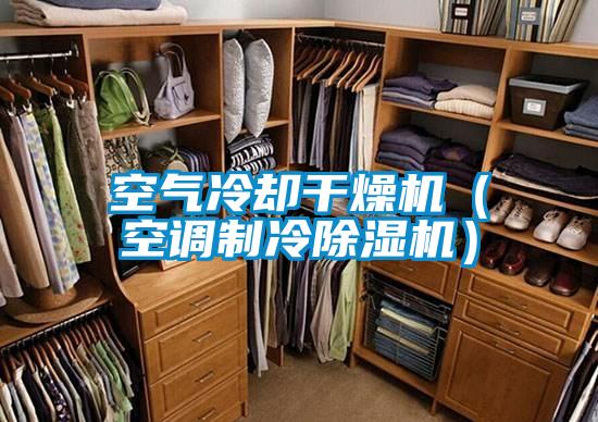 空氣冷卻干燥機(空調(diào)制冷除濕機)