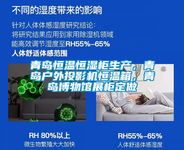 青島恒溫恒濕柜生產，青島戶外投影機恒溫箱，青島博物館展柜定做