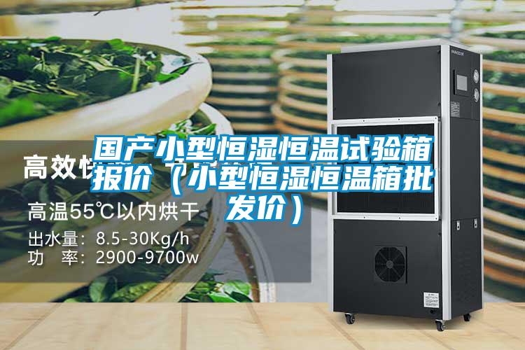 國(guó)產(chǎn)小型恒濕恒溫試驗(yàn)箱報(bào)價(jià)(小型恒濕恒溫箱批發(fā)價(jià))