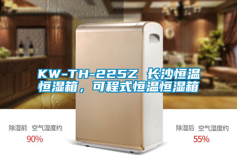 KW-TH-225Z 長沙恒溫恒濕箱，可程式恒溫恒濕箱