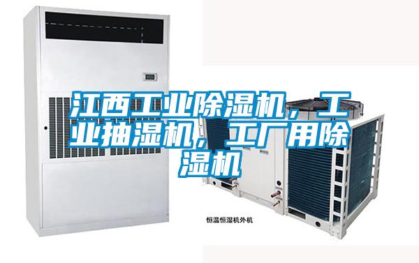 江西工業(yè)除濕機(jī)，工業(yè)抽濕機(jī)，工廠用除濕機(jī)