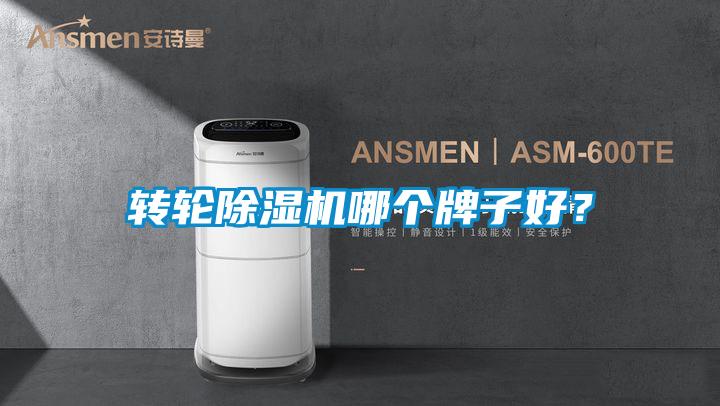 轉(zhuǎn)輪除濕機哪個牌子好？