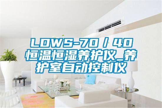 LDWS-70/40恒溫恒濕養(yǎng)護儀_養(yǎng)護室自動控制儀