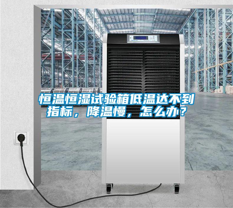 恒溫恒濕試驗箱低溫達不到指標,降溫慢,怎么辦?