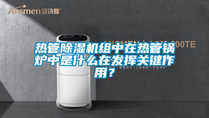 熱管除濕機組中在熱管鍋爐中是什么在發揮關鍵作用？