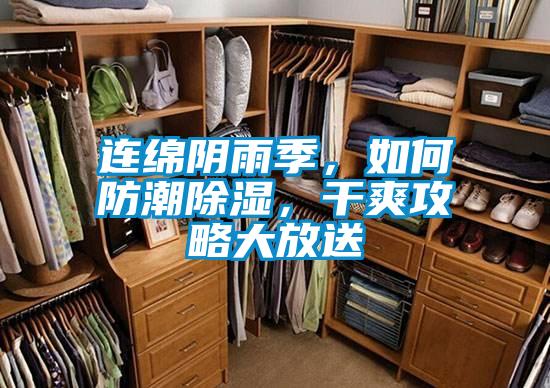 連綿陰雨季，如何防潮除濕，干爽攻略大放送