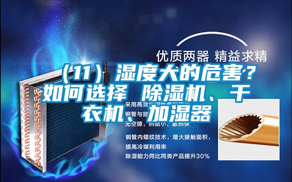 （11）濕度大的危害？如何選擇 除濕機、干衣機、加濕器