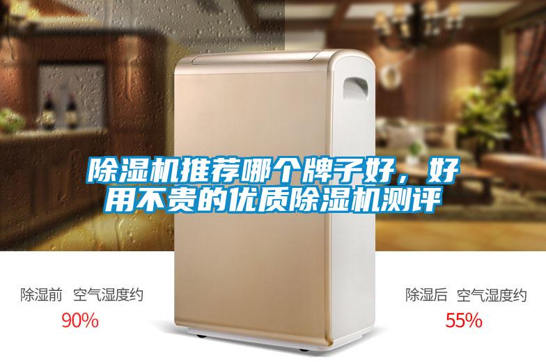 除濕機推薦哪個牌子好，好用不貴的優質除濕機測評