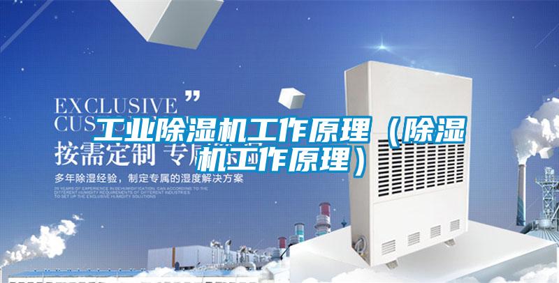 工業(yè)除濕機(jī)工作原理(除濕機(jī)工作原理)