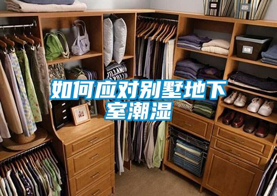 如何應(yīng)對別墅地下室潮濕