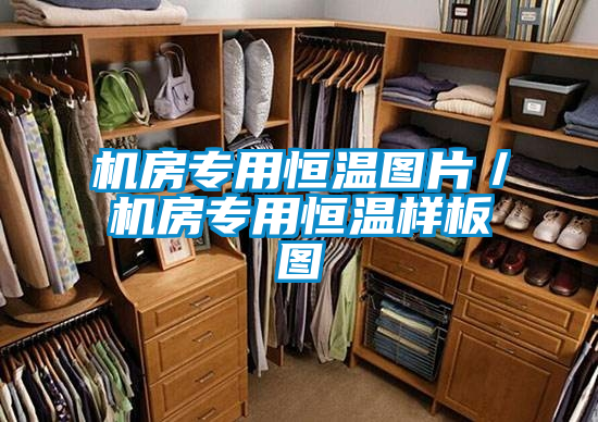 機房專用恒溫圖片/機房專用恒溫樣板圖