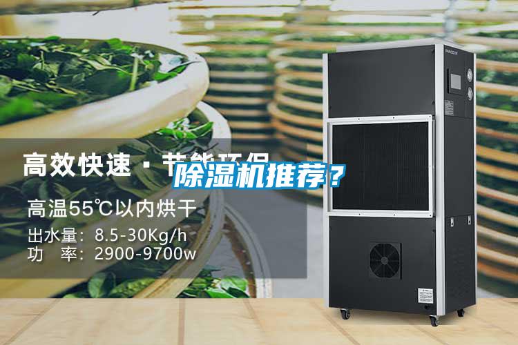 除濕機推薦？