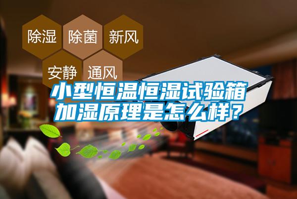 小型恒溫恒濕試驗(yàn)箱加濕原理是怎么樣?
