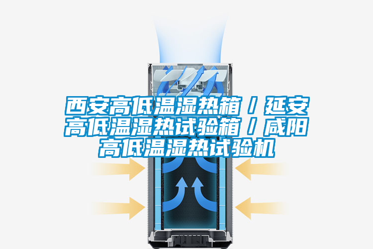 西安高低溫濕熱箱/延安高低溫濕熱試驗(yàn)箱/咸陽(yáng)高低溫濕熱試驗(yàn)機(jī)