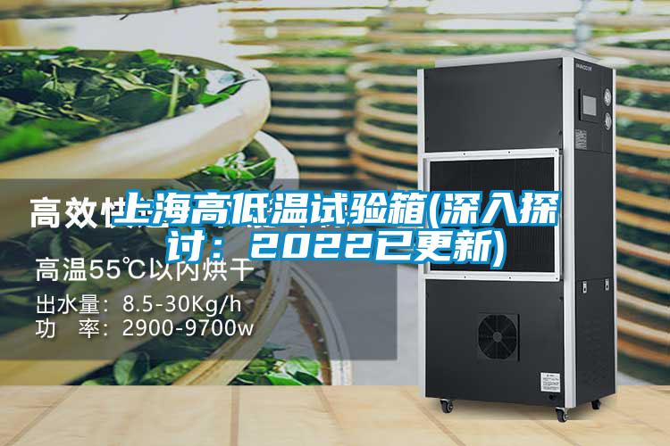 上海高低溫試驗箱(深入探討:2022已更新)