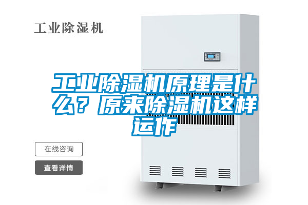 工業(yè)除濕機(jī)原理是什么?原來除濕機(jī)這樣運(yùn)作