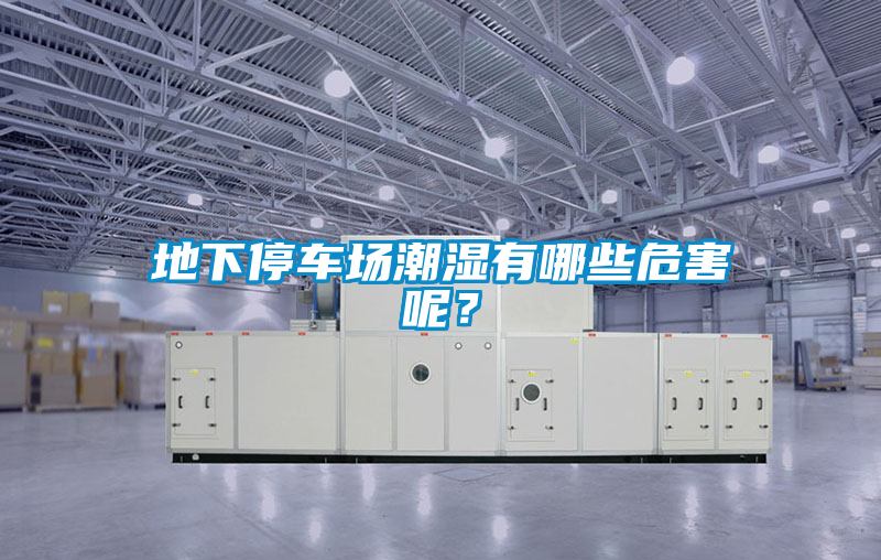 地下停車場(chǎng)潮濕有哪些危害呢?