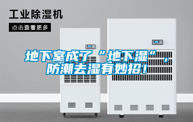 地下室成了“地下濕”,防潮去濕有妙招!