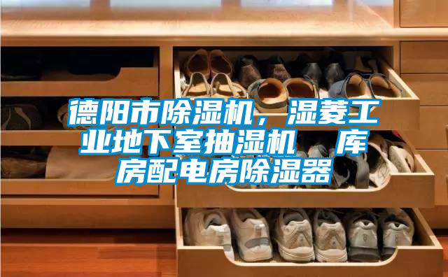 德陽(yáng)市除濕機(jī)，濕菱工業(yè)地下室抽濕機(jī)  庫(kù)房配電房除濕器