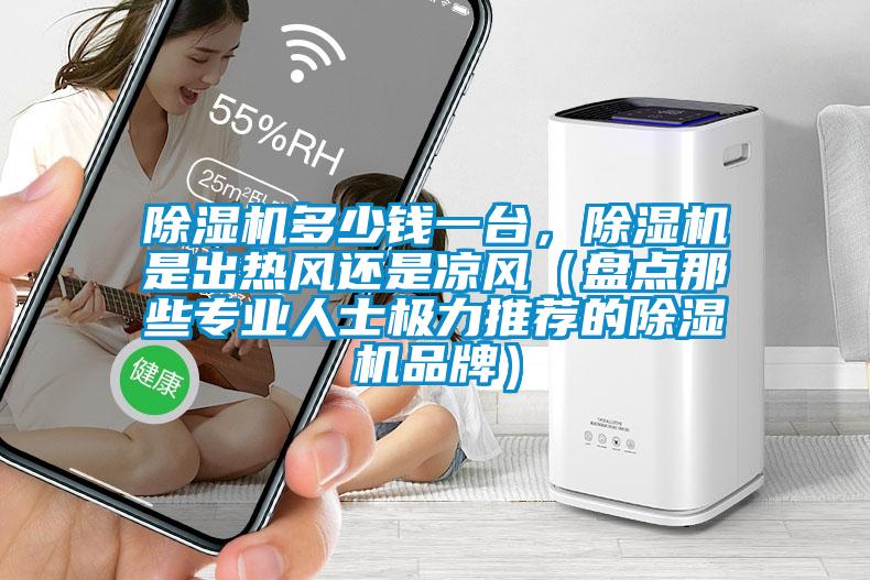 除濕機多少錢一臺，除濕機是出熱風還是涼風（盤點那些專業人士極力推薦的除濕機品牌）