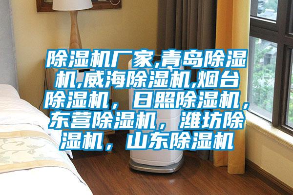 除濕機廠家,青島除濕機,威海除濕機,煙臺除濕機，日照除濕機，東營除濕機，濰坊除濕機，山東除濕機