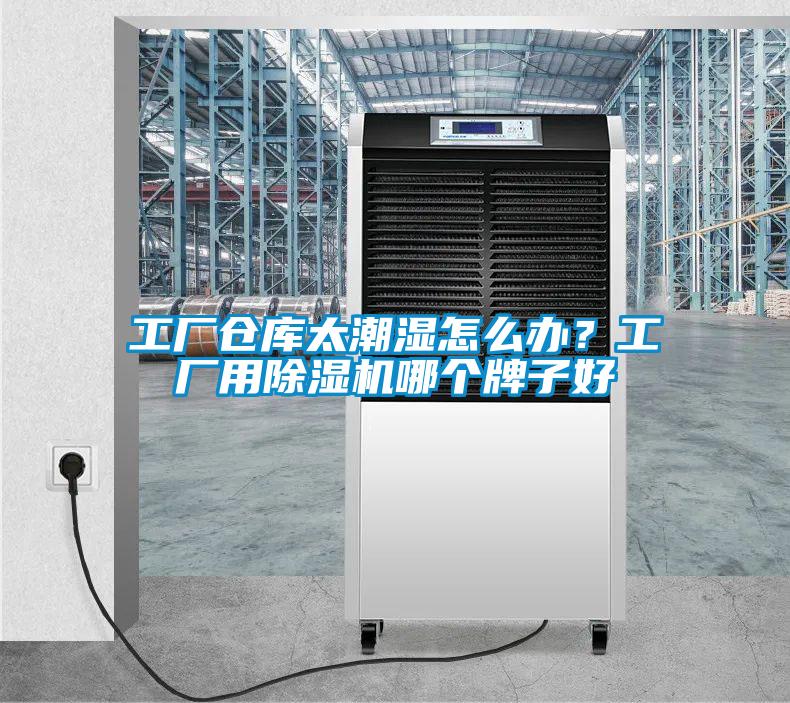 工廠倉庫太潮濕怎么辦？工廠用除濕機哪個牌子好