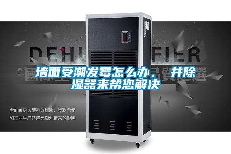 墻面受潮發(fā)霉怎么辦，東井除濕器來幫您解決