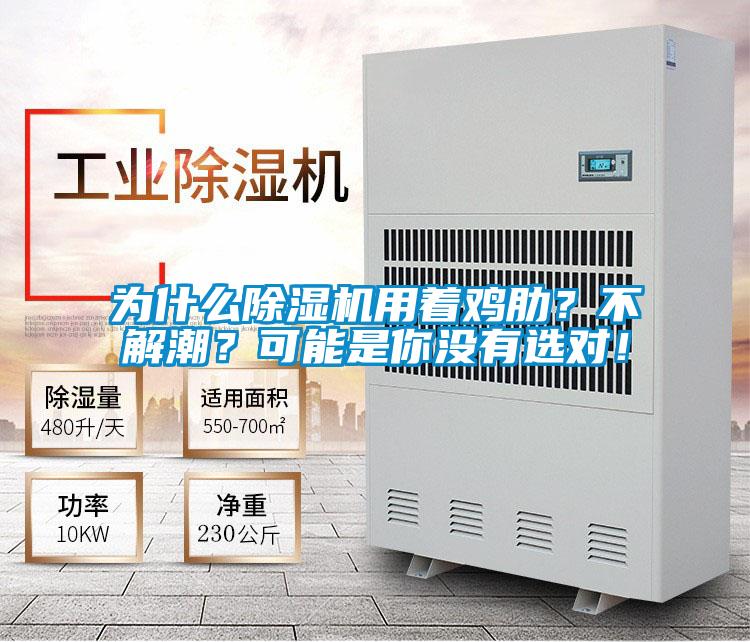 為什么除濕機(jī)用著雞肋?不解潮?可能是你沒有選對!