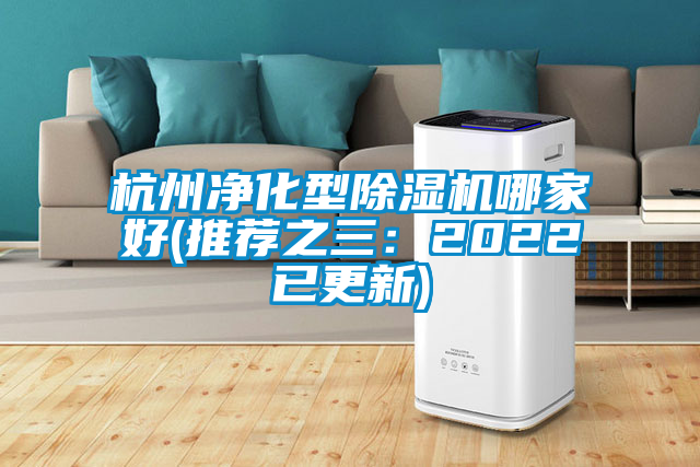 杭州凈化型除濕機(jī)哪家好(推薦之三:2022已更新)