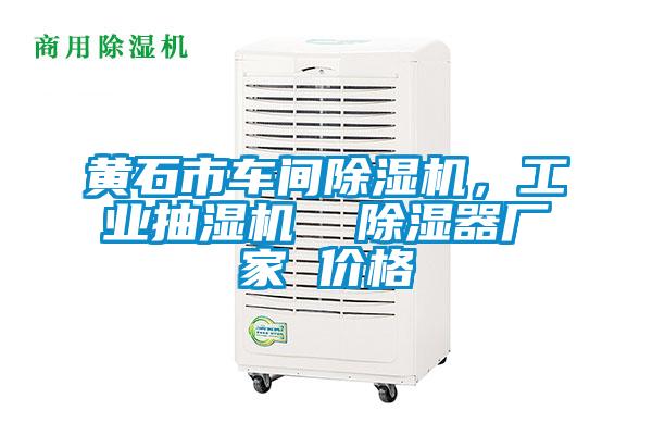黃石市車間除濕機，工業抽濕機  除濕器廠家 價格