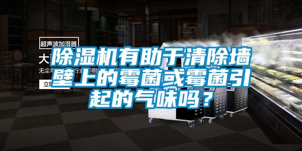 除濕機有助于清除墻壁上的霉菌或霉菌引起的氣味嗎？
