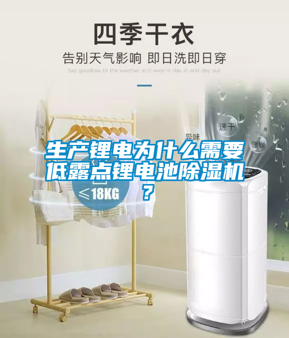 生產(chǎn)鋰電為什么需要低露點鋰電池除濕機?