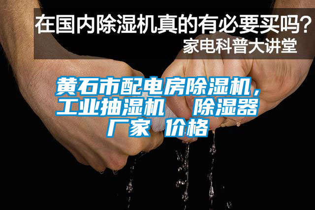 黃石市配電房除濕機(jī)，工業(yè)抽濕機(jī)  除濕器廠家 價格