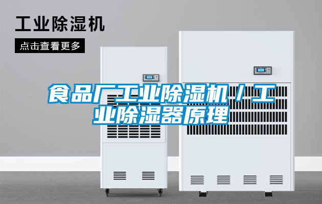 食品廠工業(yè)除濕機(jī)/工業(yè)除濕器原理