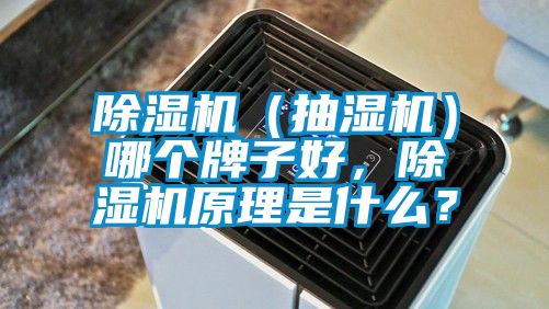 除濕機(jī)（抽濕機(jī)）哪個牌子好，除濕機(jī)原理是什么？