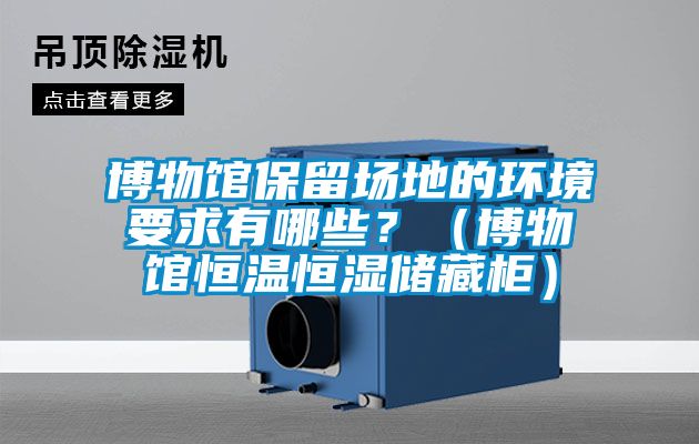 博物館保留場地的環(huán)境要求有哪些?(博物館恒溫恒濕儲藏柜)