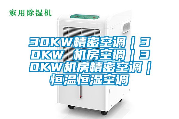 30KW精密空調(diào)|30KW 機房空調(diào)|30KW機房精密空調(diào)|恒溫恒濕空調(diào)
