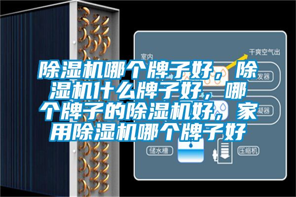 除濕機哪個牌子好，除濕機什么牌子好，哪個牌子的除濕機好，家用除濕機哪個牌子好