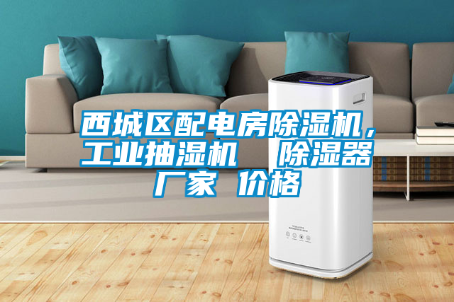 西城區(qū)配電房除濕機，工業(yè)抽濕機  除濕器廠家 價格