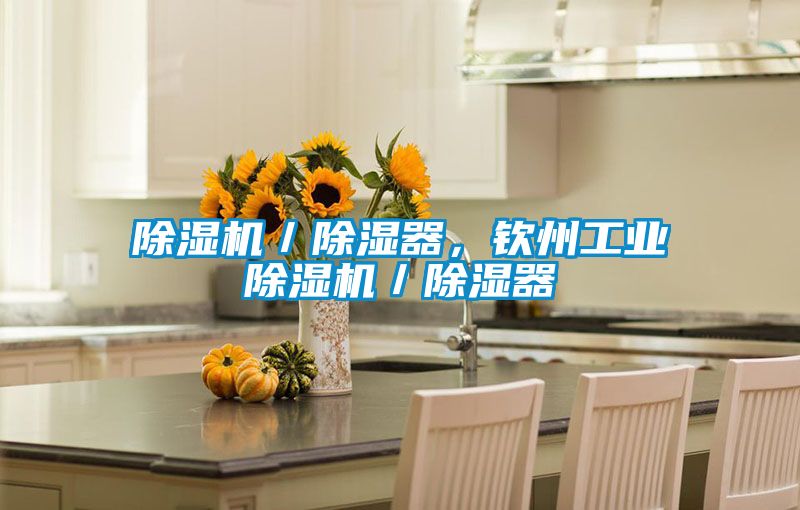 除濕機/除濕器,欽州工業(yè)除濕機/除濕器